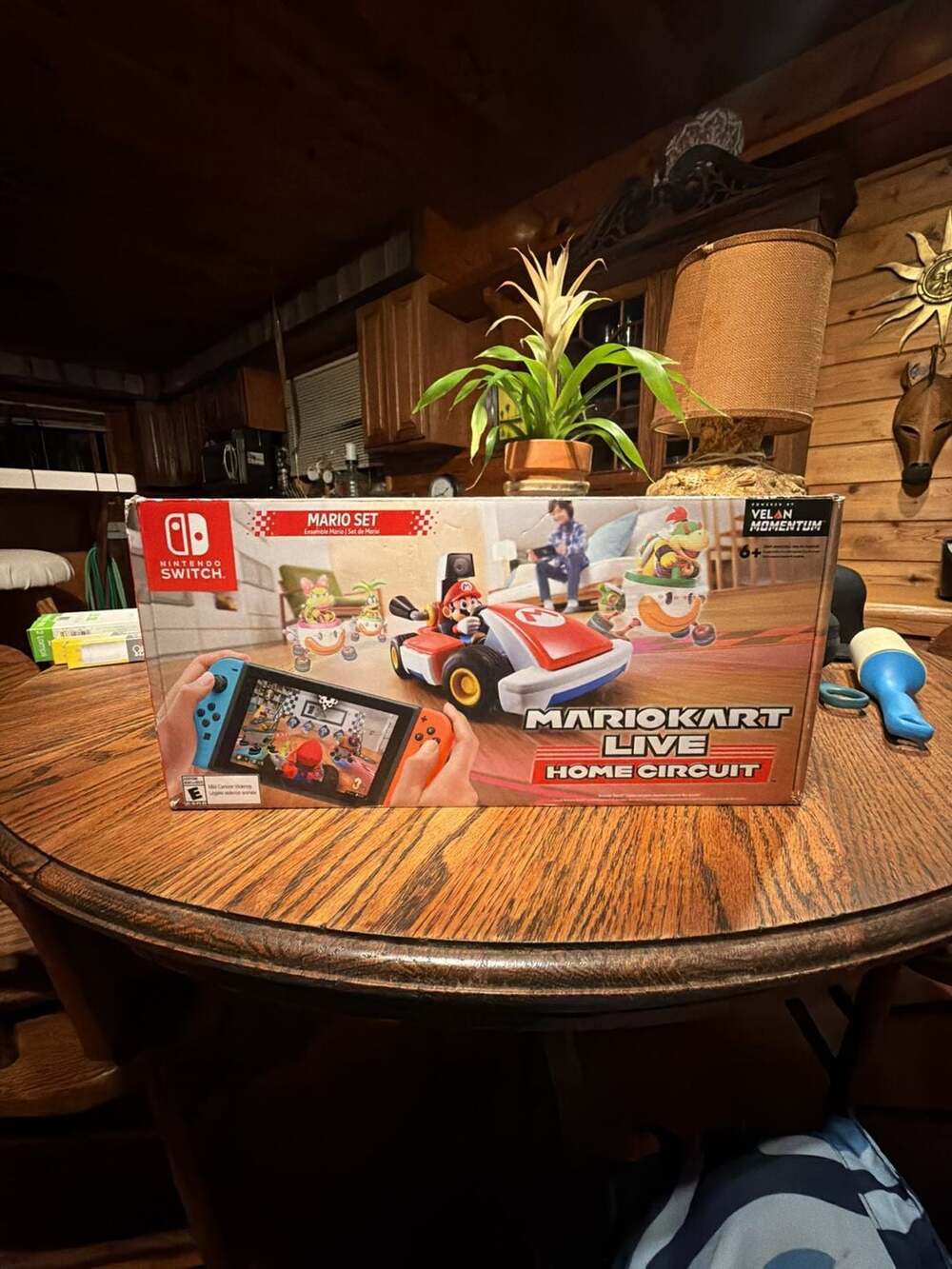 Nintendo Switch Mario Kart Live: Home Circuit - Mario Set